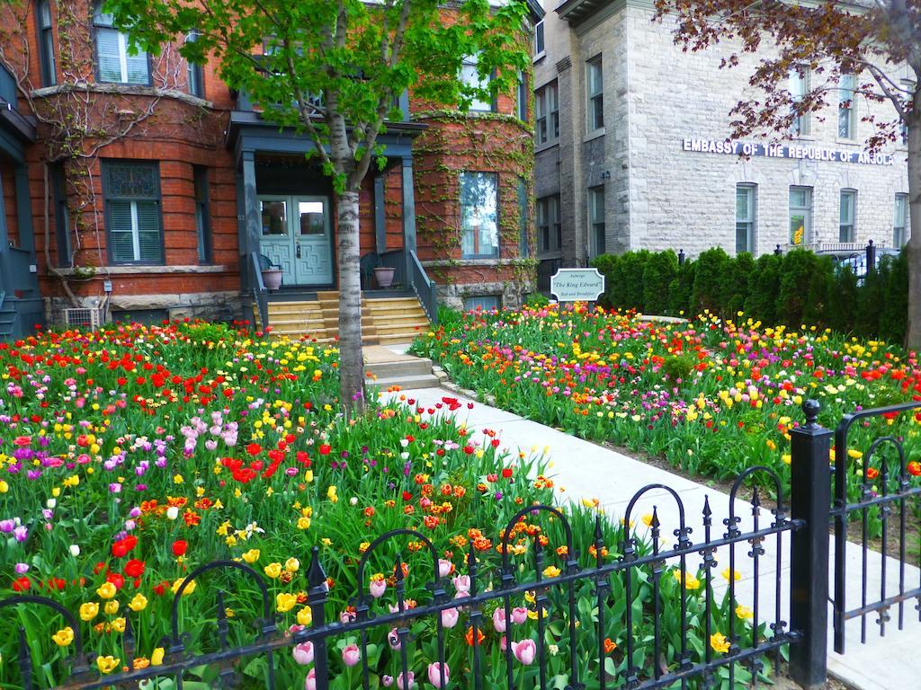 Auberge King Edward Bed And Breakfast Ottawa Kamer foto