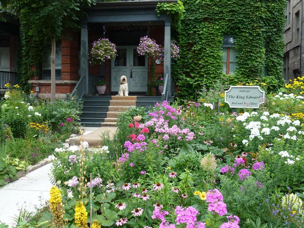 Auberge King Edward Bed And Breakfast Ottawa Buitenkant foto
