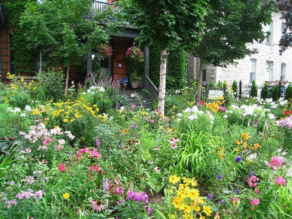 Auberge King Edward Bed And Breakfast Ottawa Buitenkant foto